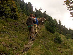 wandern-umgebung008.jpg