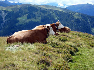 wandern-umgebung022.jpg