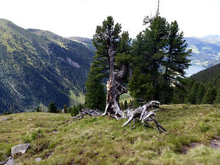 wandern-umgebung033.jpg