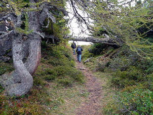 wandern-umgebung071.jpg